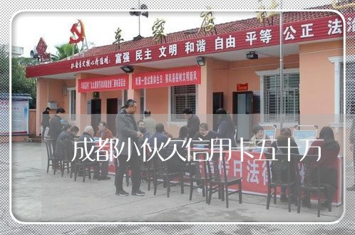 成都小伙欠信用卡五十万 成都小伙欠信用卡五十万