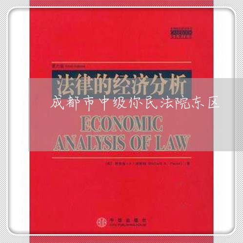 成都市中级你民法院东区