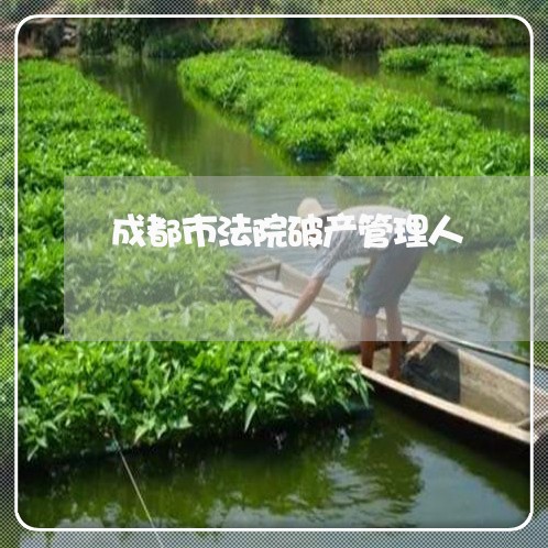 成都市法院破产管理人