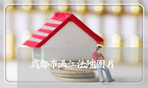 成都市温江法院图片