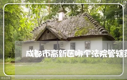 成都市高新区哪个法院管辖范围