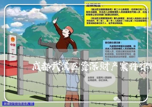 成都武侯区资深财产案件律师排名