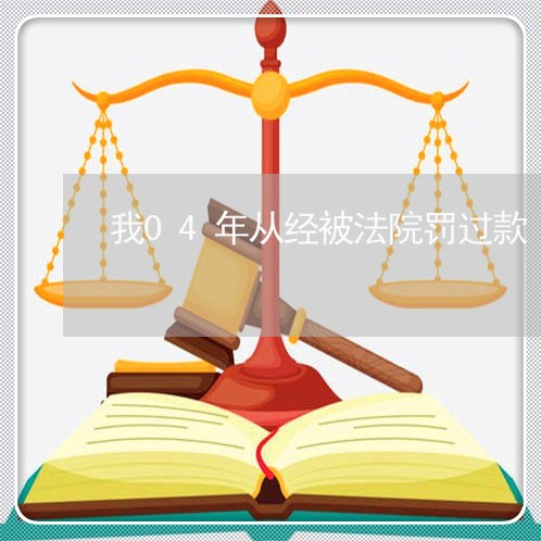 我04年从经被法院罚过款