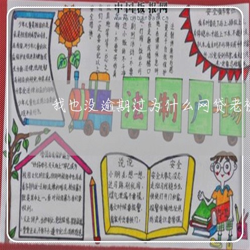 我也没逾期过为什么网贷老被拒