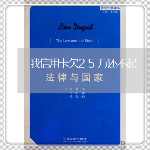 我信用卡欠25万还不起