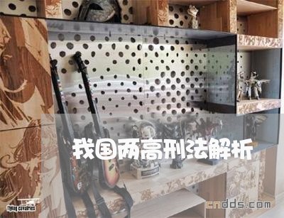 我国两高刑法解析