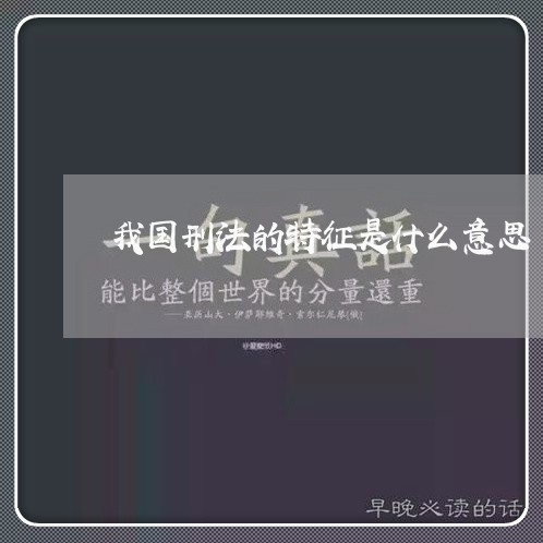 我国刑法的特征是什么意思