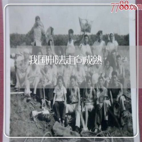 我国刑法走向成熟 我国刑法走向成熟