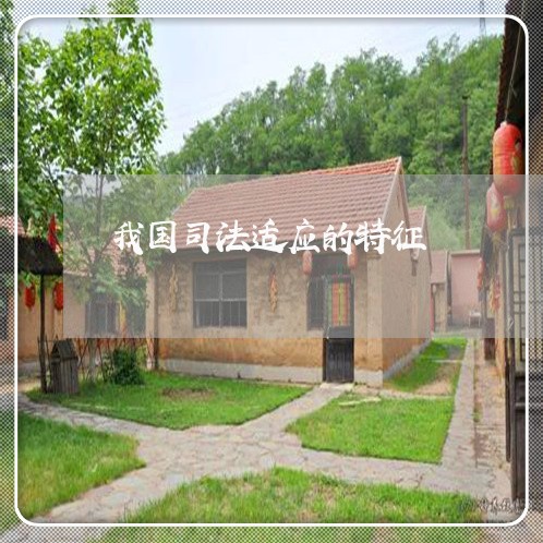 我国司法适应的特征 我国司法适应的特征
