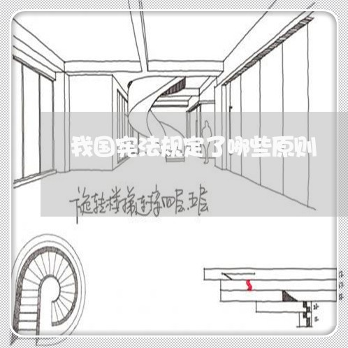 我国宪法规定了哪些原则