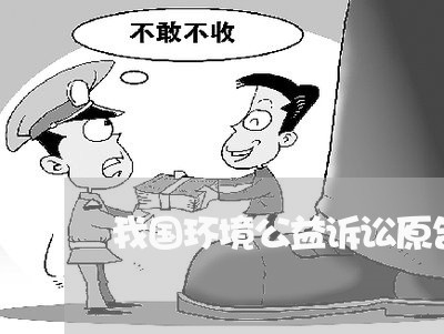 我国环境公益诉讼原告资格研究 我国环境公益诉讼原告资格研究