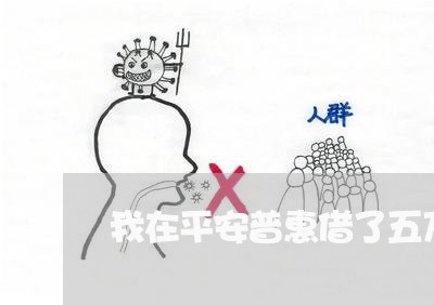 我在平安普惠借了五万块钱/2023061806068