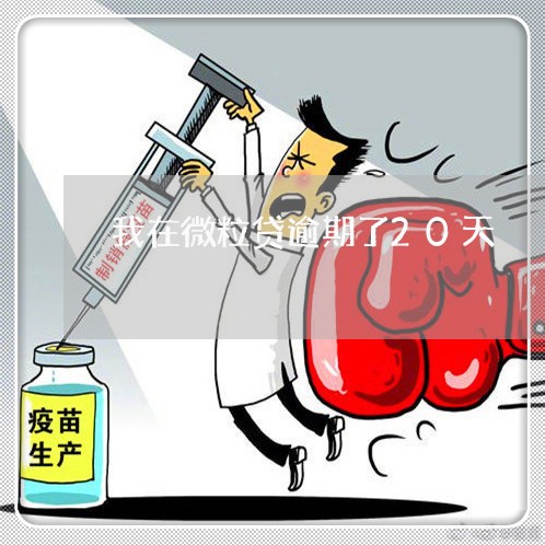 我在微粒贷逾期了20天/2023032948513