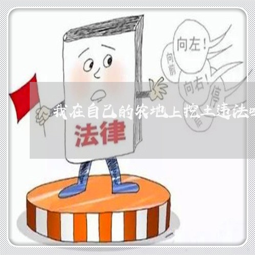 我在自己的农地上挖土违法吗
