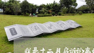 我是十二月底诉讼离婚的