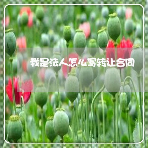 我是法人怎么写转让合同/2023041195817 我是法人怎么写转让合同/2023041195817