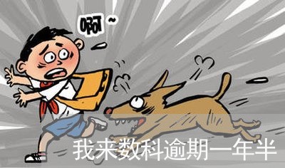 我来数科逾期一年半