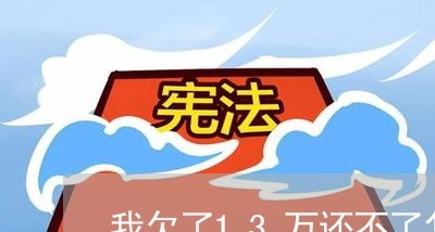 我欠了13万还不了怎么办/2023021688583