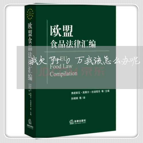我欠了50万我该怎么办呢/2023030152747 我欠了50万我该怎么办呢/2023030152747