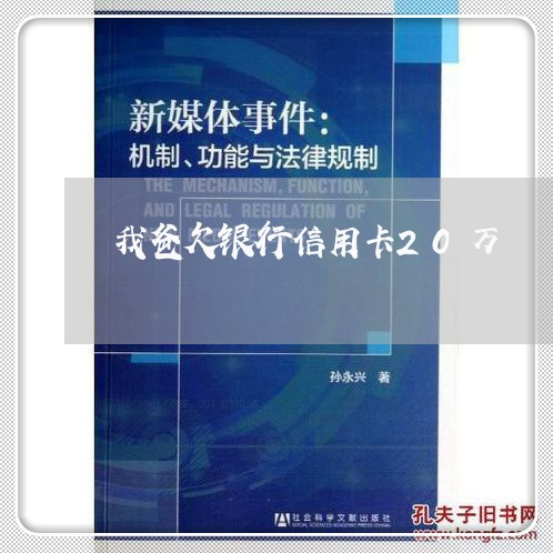 我爸欠银行信用卡20万