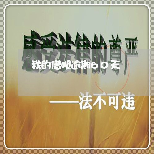 我的借呗逾期60天