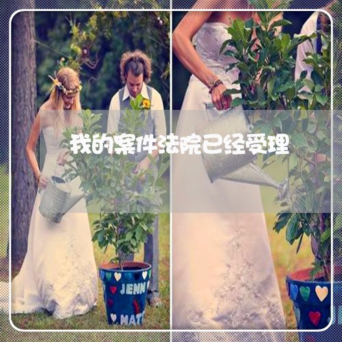 我的案件法院已经受理