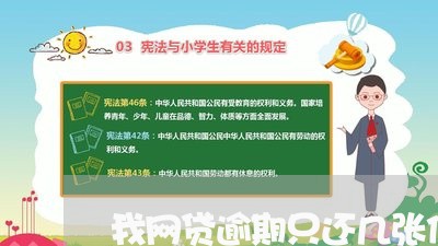 我网贷逾期只还几张信用卡/2023032461714