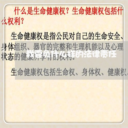 我要负什么样的法律责任 我要负什么样的法律责任