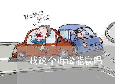 我这个诉讼能赢吗