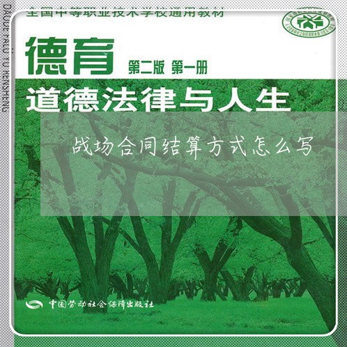 战场合同结算方式怎么写/2023022670514