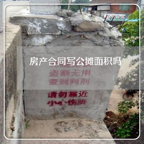 房产合同写公摊面积吗 房产合同写公摊面积吗