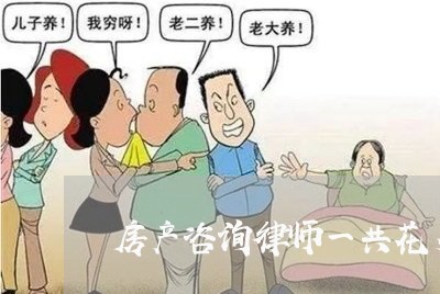 房产咨询律师一共花多少钱
