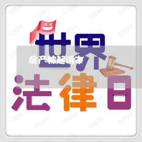 房产被起诉本