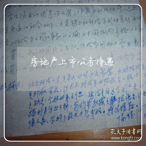 房地产上市公务待遇