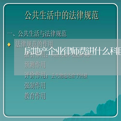 房地产企业律师费进什么科目