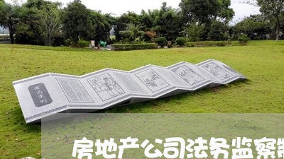 房地产公司法务监察制度 房地产公司法务监察制度