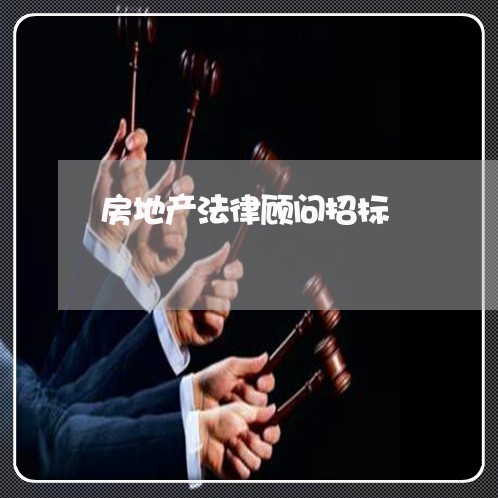 房地产法律顾问招标/2023061996040