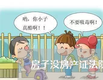 房子没房产证法院能拍卖吗