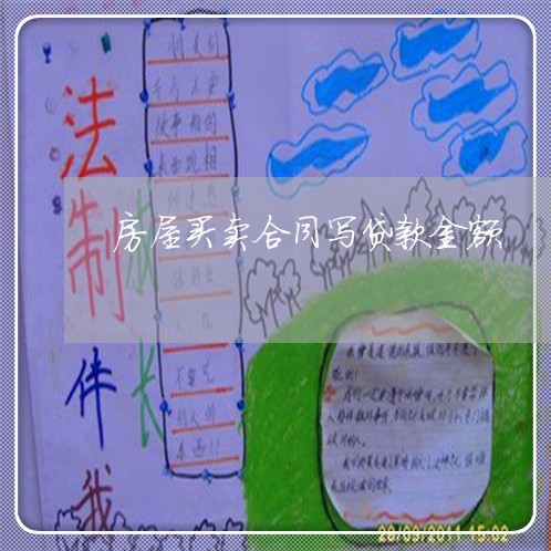 房屋买卖合同写贷款金额/2023042476827