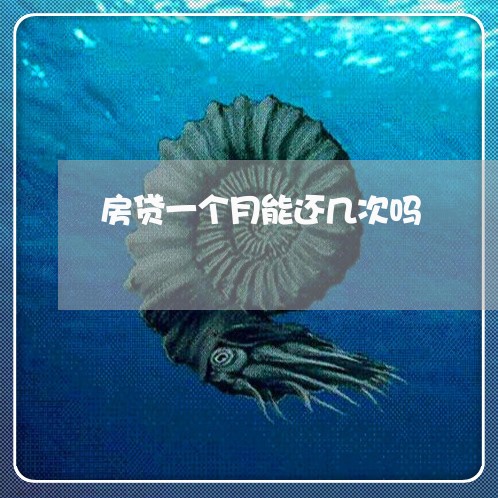 房贷一个月能还几次吗/2023041345272