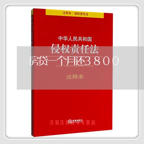 房贷一个月还3800/2023041343746