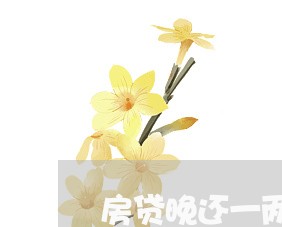 房贷晚还一两天有事没/2023041386036 房贷晚还一两天有事没/2023041386036