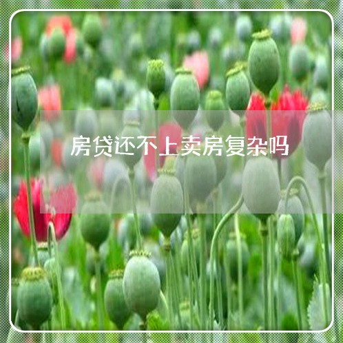 房贷还不上卖房复杂吗/2023041472682