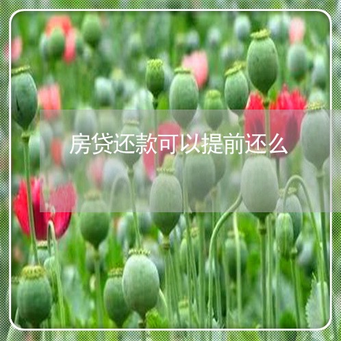 房贷还款可以提前还么/2023041451362