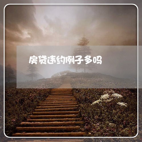 房贷违约例子多吗/2023041485814