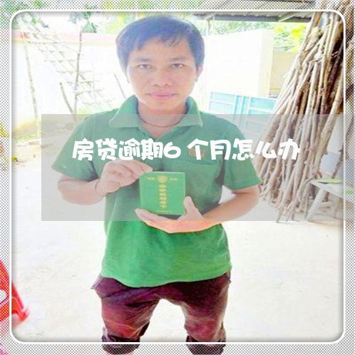房贷逾期6个月怎么办