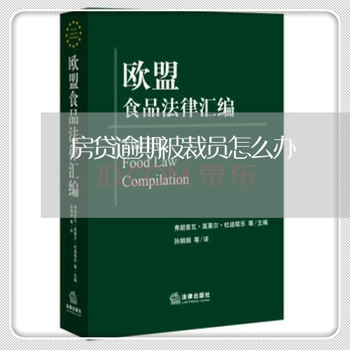 房贷逾期被裁员怎么办/2023041469460