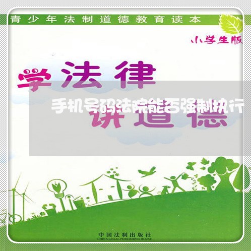 手机号码法院能否强制执行