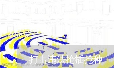 打击违法抢插抢种