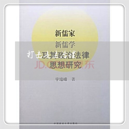 打击违法治理